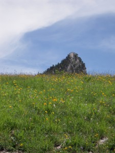 2012_06_24_baral 029